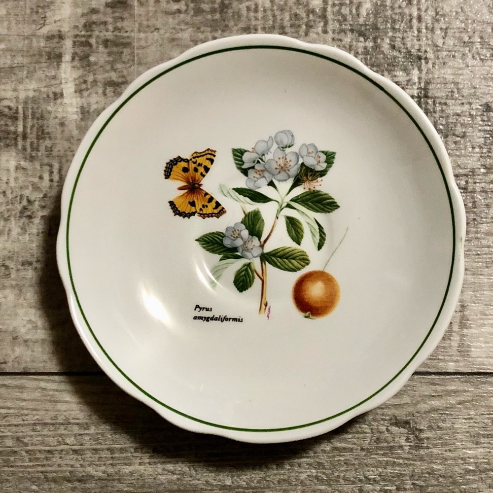 Springfield Pyrus Amygdaliformis Made in England Bone China Saucer QTY=1